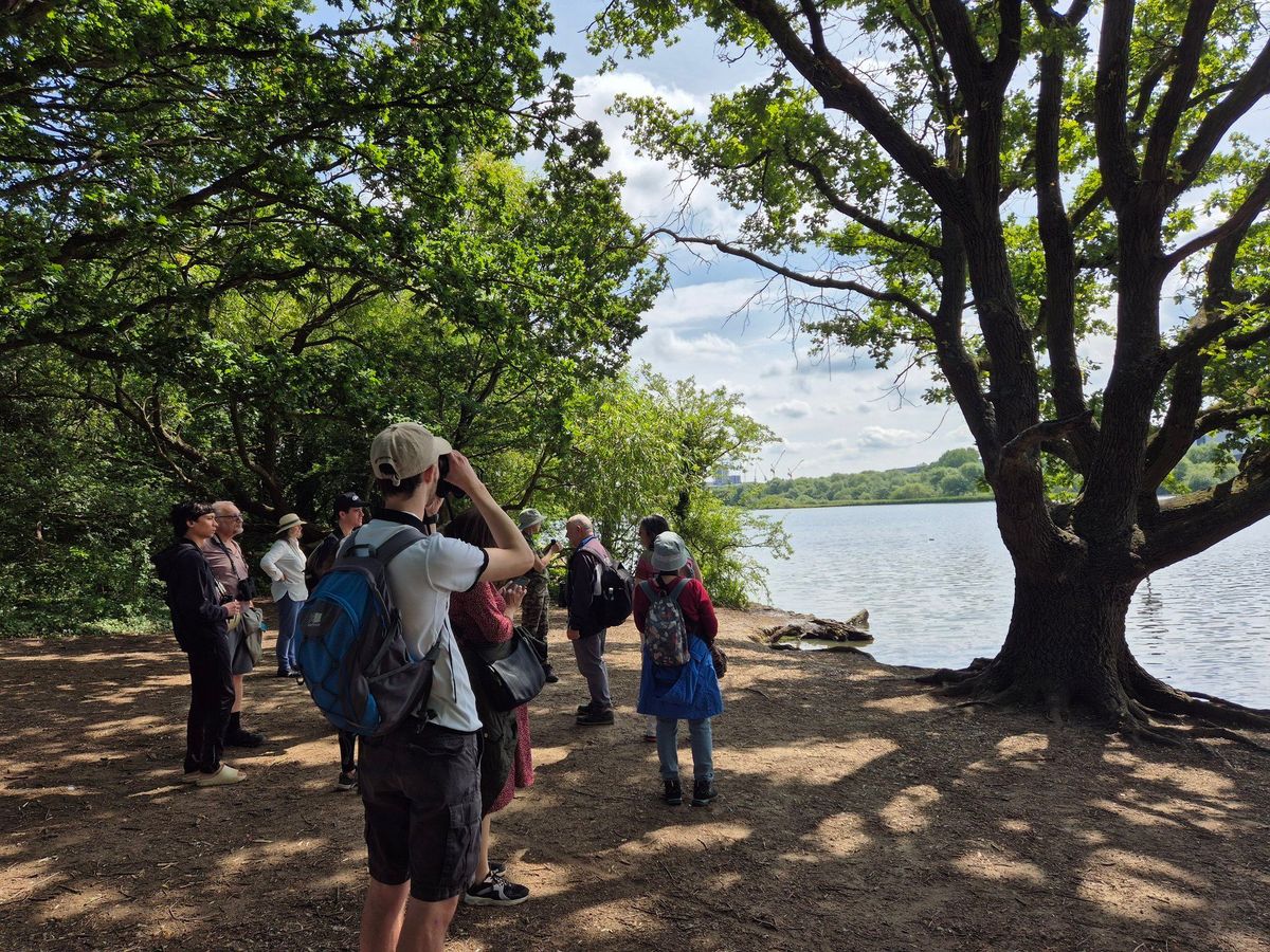 FREE Let's Bird Walk - Brent Reservoir (Welsh Harp)