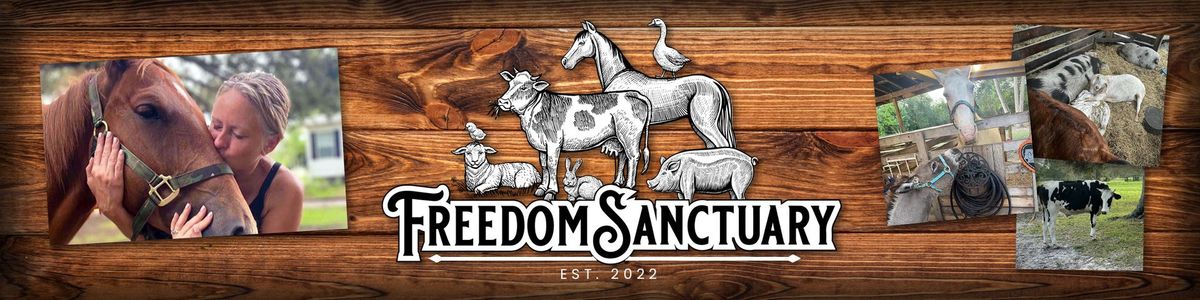 Freedom sanctuary volunteers 