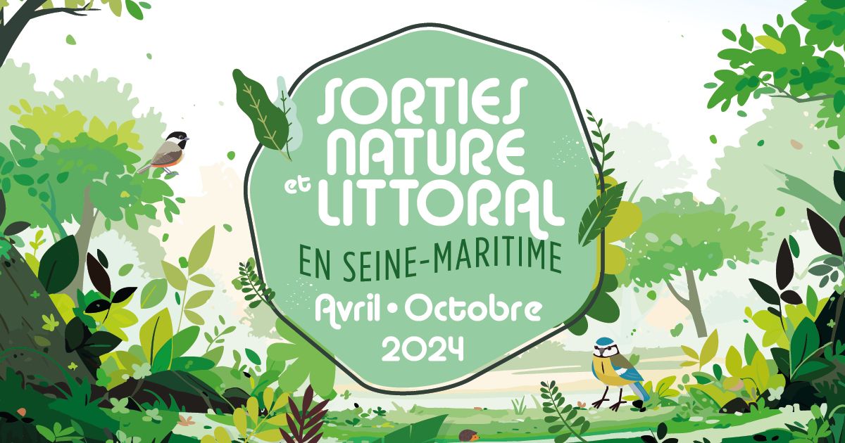 DANS LA PEAU D\u2019UN FORESTIER : LE MARTELAGE