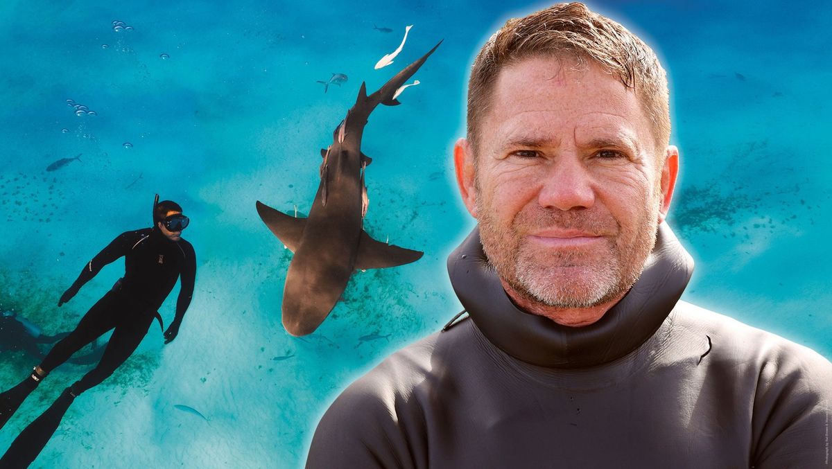 Steve Backshall - Ocean