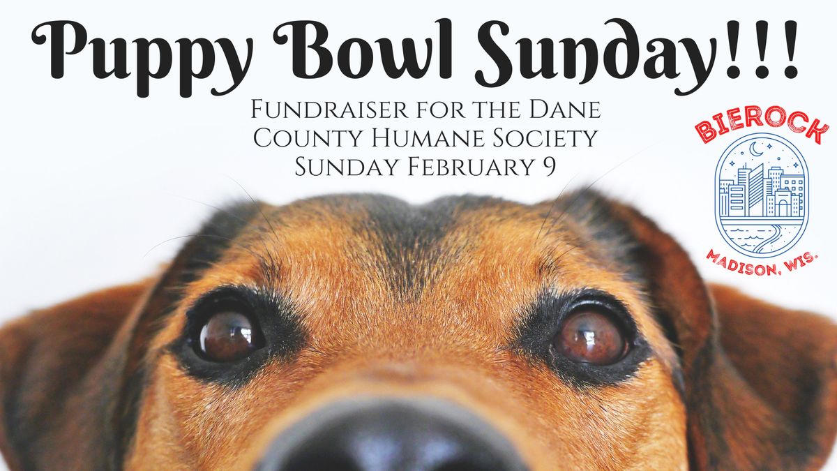 Puppy Bowl 2025: Humane Society Fundraiser