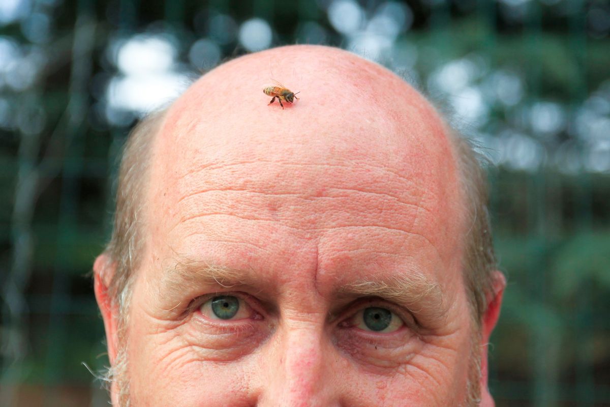 Intro to Beekeeping with Master Beekeeper Mark Burrows