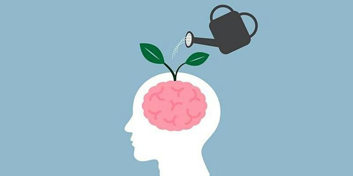 The Growing Brain: Social-Emotional Development (INITIAL\/ANNUAL)