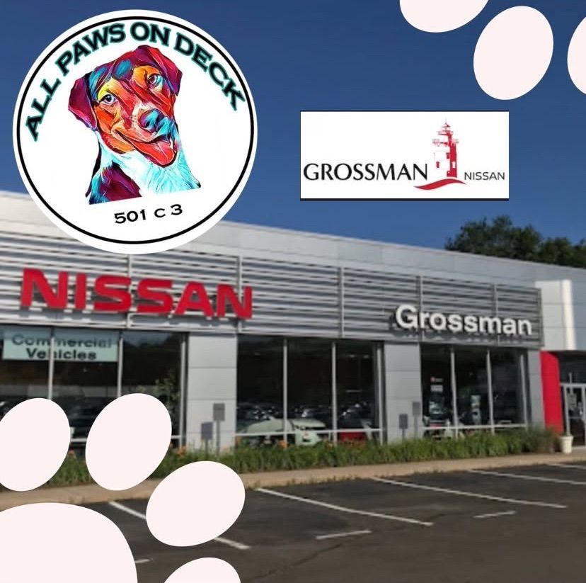 Adoption Event at Grossman Nissan, Old Saybrook