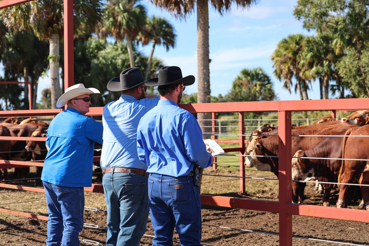 Adams Ranch Bull & Heifer Auction