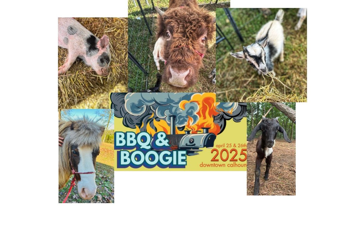 PETTING ZOO @ BBQ & BOOGIE