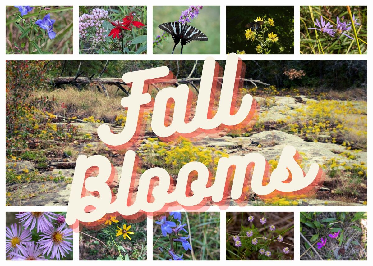  Plant Discovery Walk-Fall Blooms