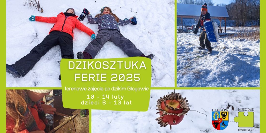 DzikoSztuka - terenowe ferie po dzikim G\u0142ogowie dla dzieci 6-13 lat