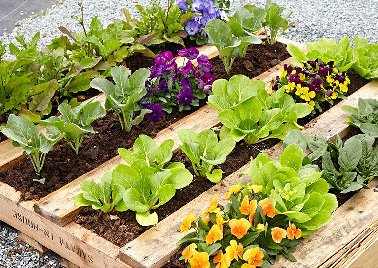 Create your own mini garden workshop