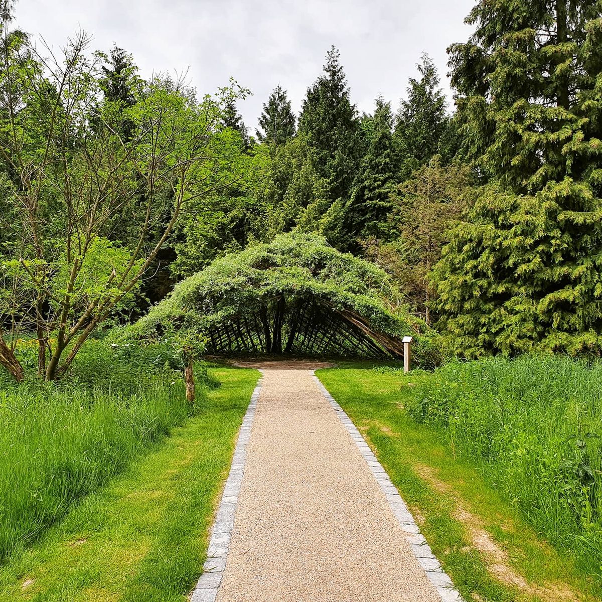 Der Burgholztrail - Waldwildnis in Wuppertal