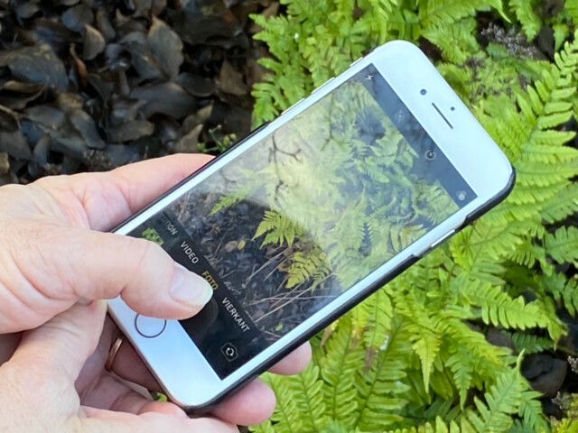 Digisessie: Ontdek de natuur met je smartphone