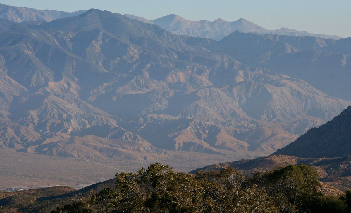 Edible & Medicinal Plants of San Bernardino County: Herb Walk