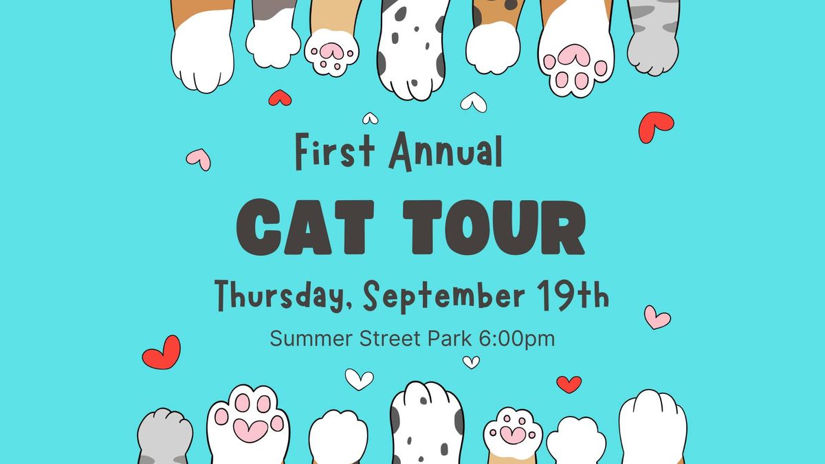 Cat Tour