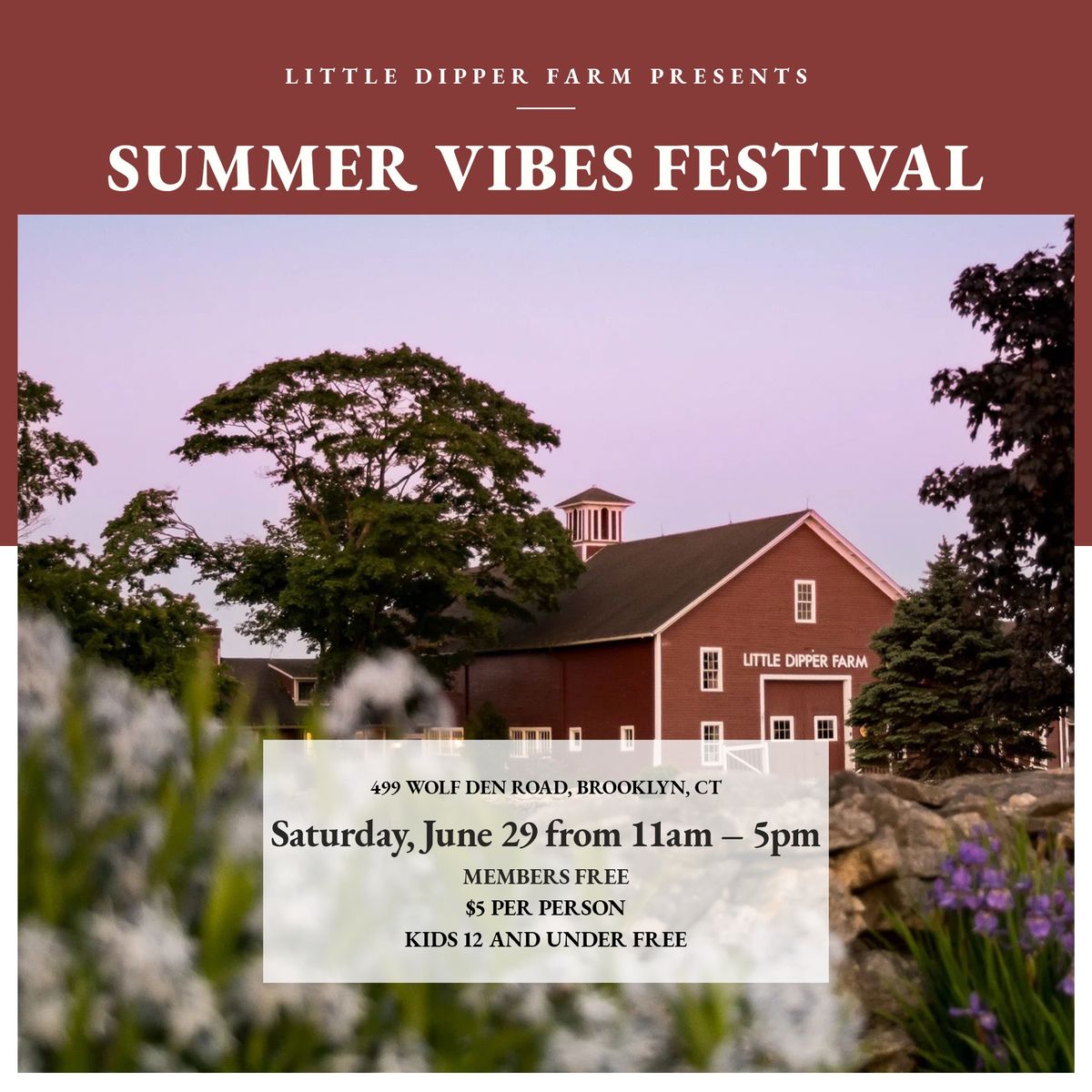 Summer Vibes Festival 