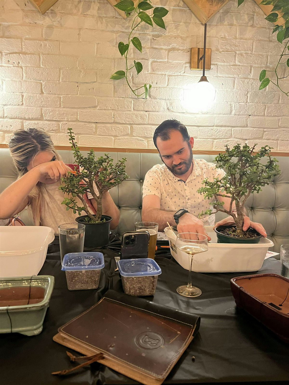 Bonsai Tree Workshop