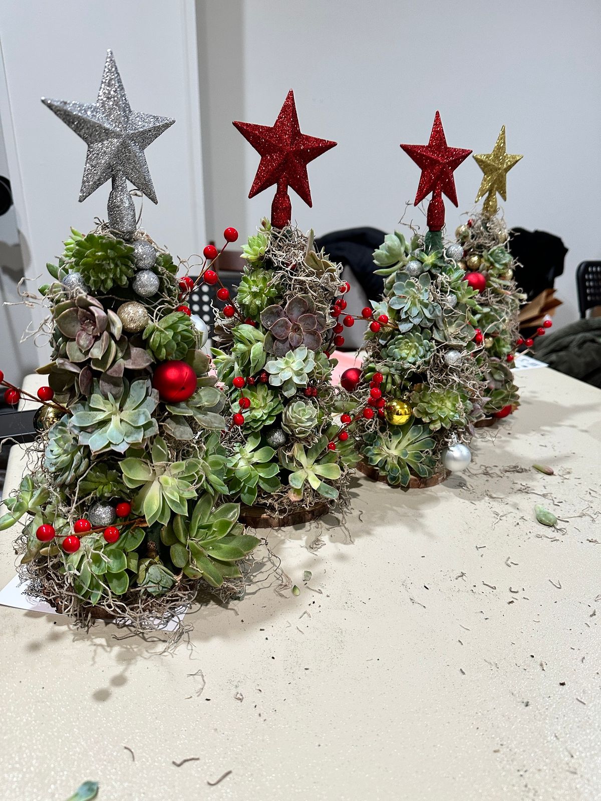 Succulent Christmas Tree workshop