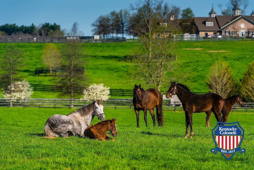 First Meeting of Thoroughbred Chapter of HOKC