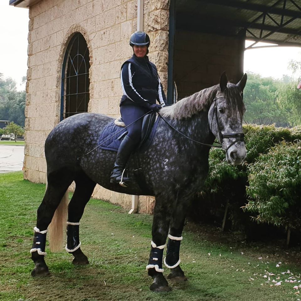 Brookleigh Adult Riding Club February Rally