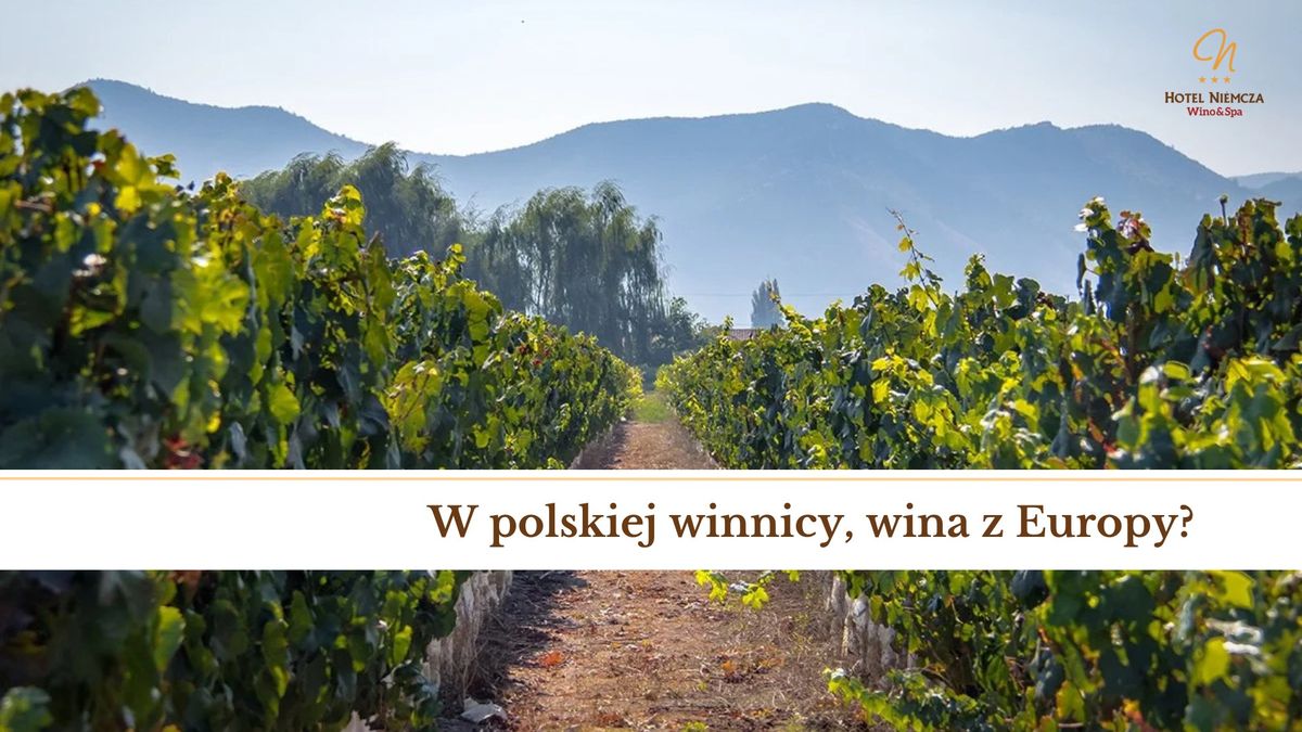 W polskiej winnicy, wina z Europy \u2013 Degustacja win z Bu\u0142garii z Krystianem Sakasem!