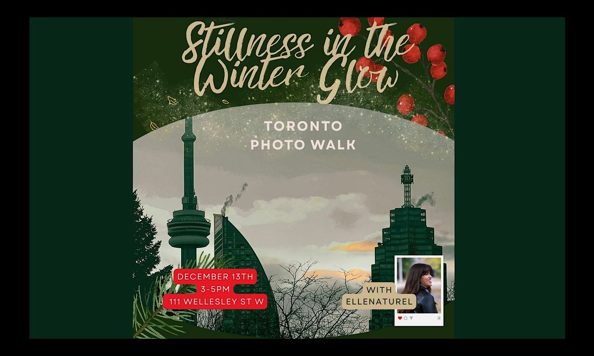 Stillness In The Winter Glow - Toronto Photo Walk