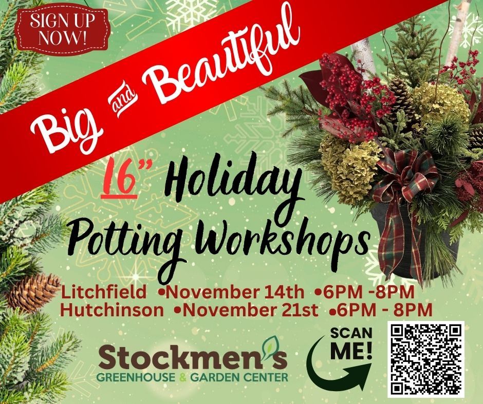 Big & Beautiful Holiday Potting Workshop - Hutchinson Location