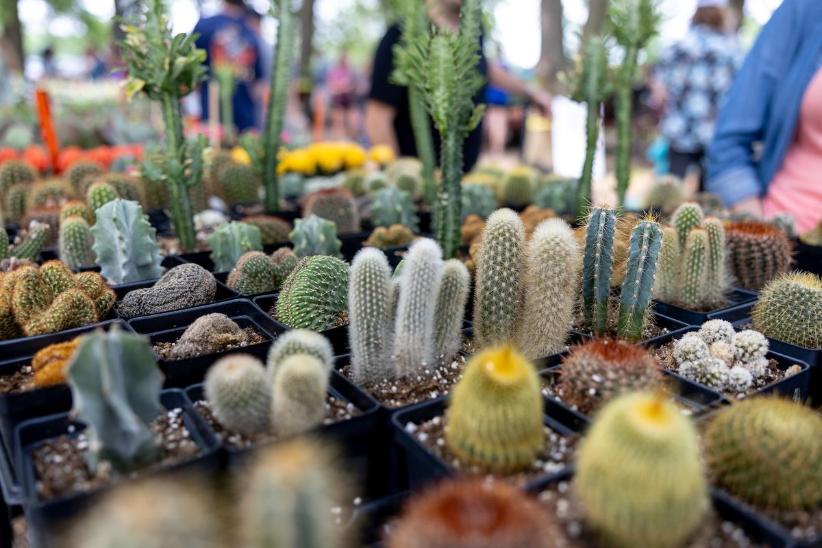 Herb and Succulent Festival