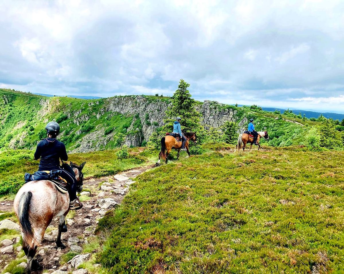 Hochvogesen Trail 