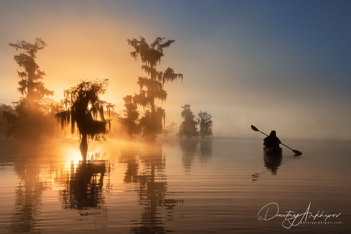 Cypress Swamps, November 2024, Photography workshop. 