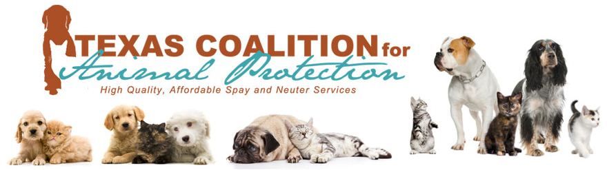 Low Cost Pet Vaccination Clinic