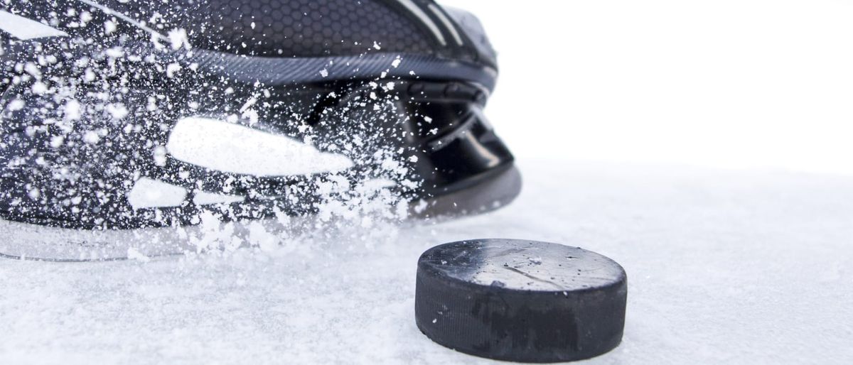 Yale Bulldogs at Union College Garnet Chargers Mens Hockey at M and T Bank Center Schenectady