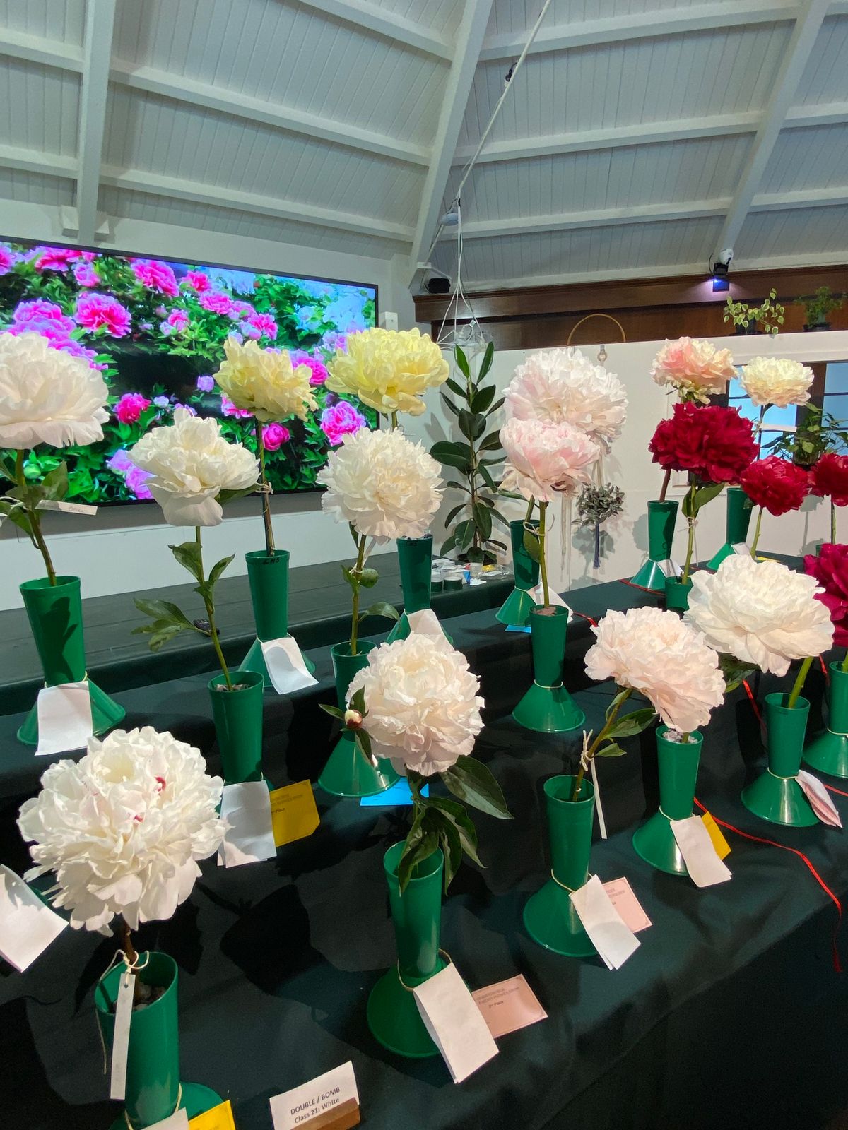 Annual Peony Flower Show