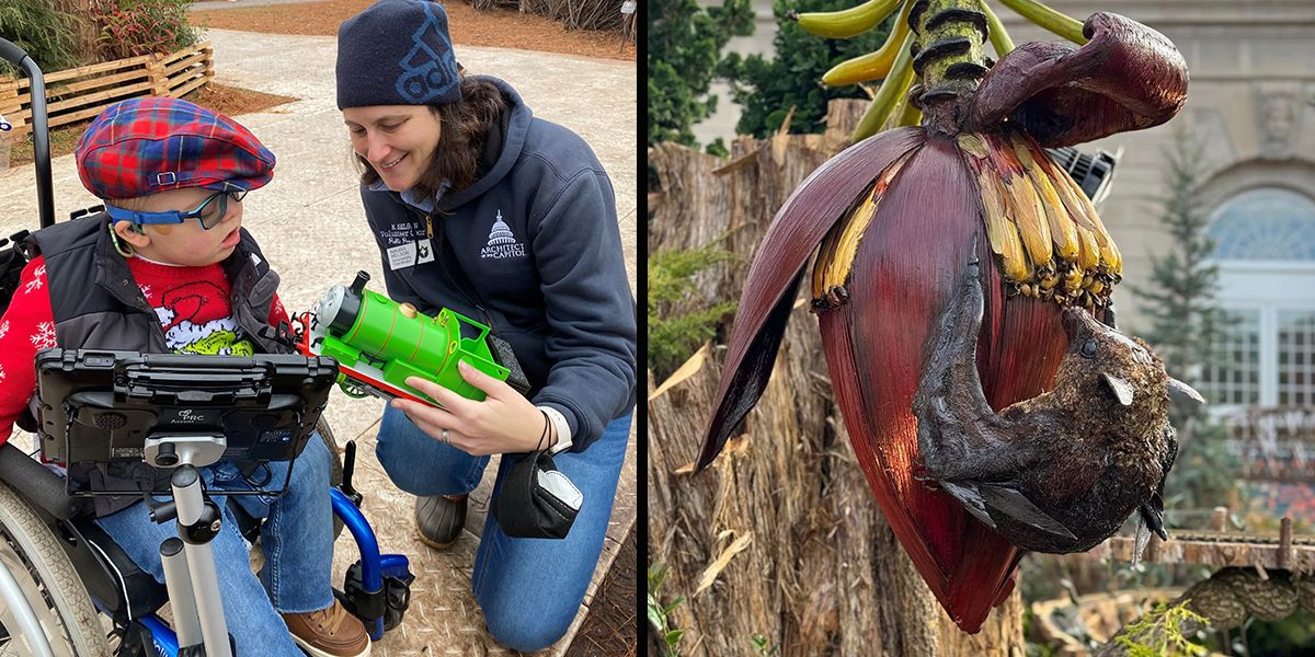 Sensory-Friendly Morning at the Garden: "Season\u2019s Greenings" Holiday Exhibit (On-site Event)