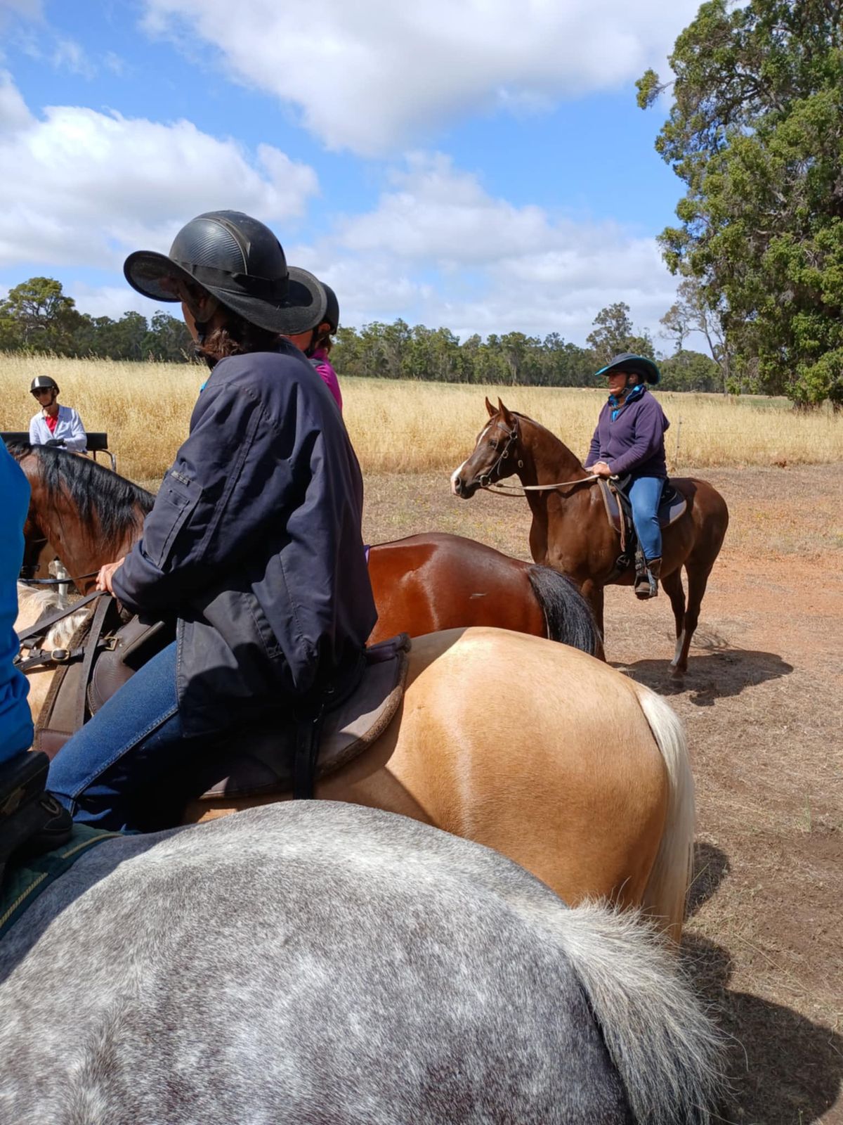 Ground work and ridden group lesson