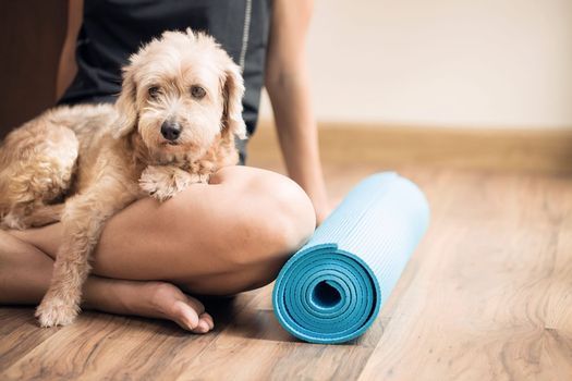 Doga (Yoga with your Dog!)