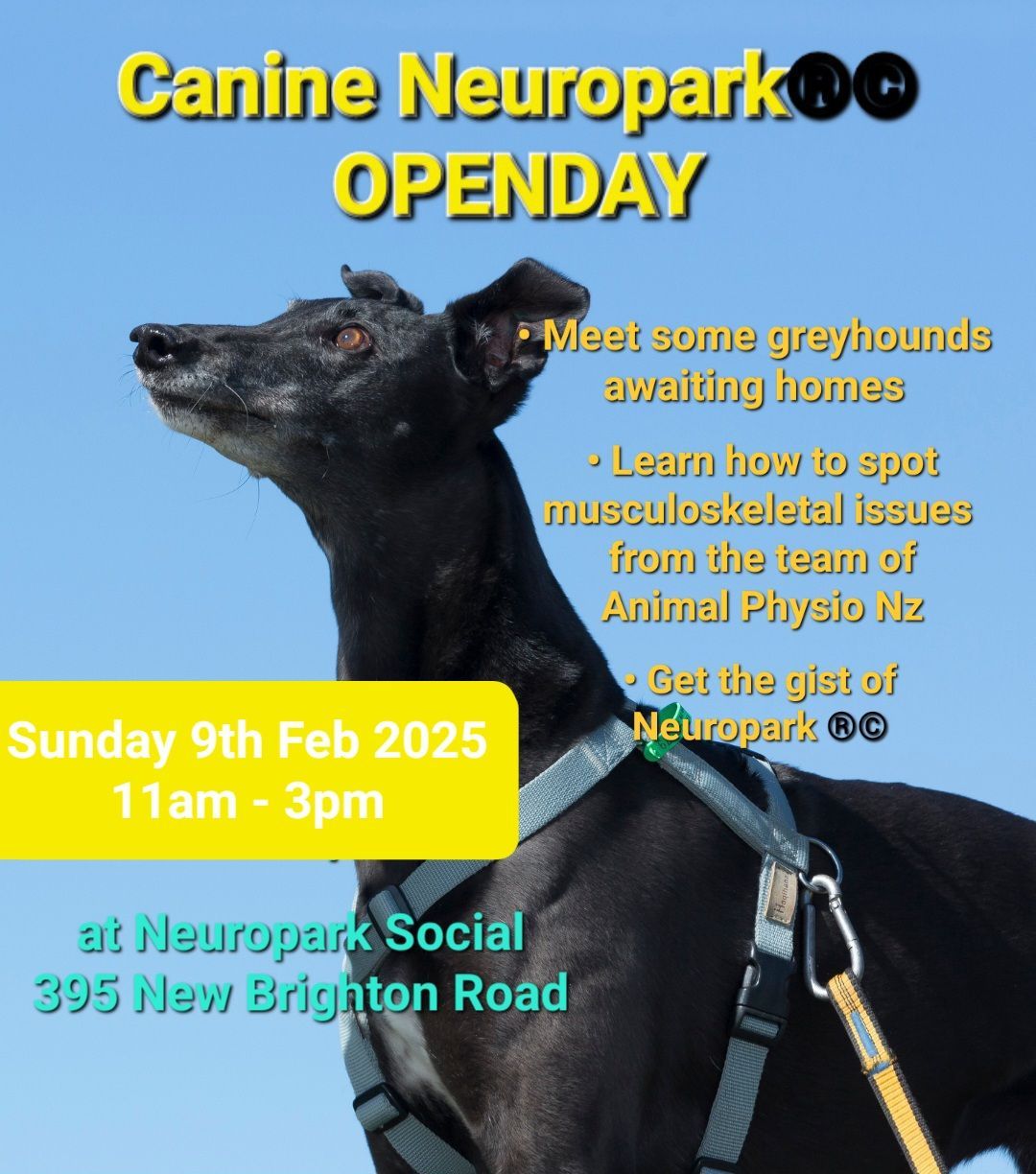 Canine Neuropark\u00ae\u00a9 Open-Day with Hounds