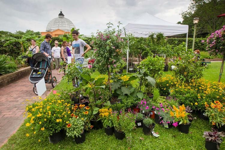 Fall Garden Festival