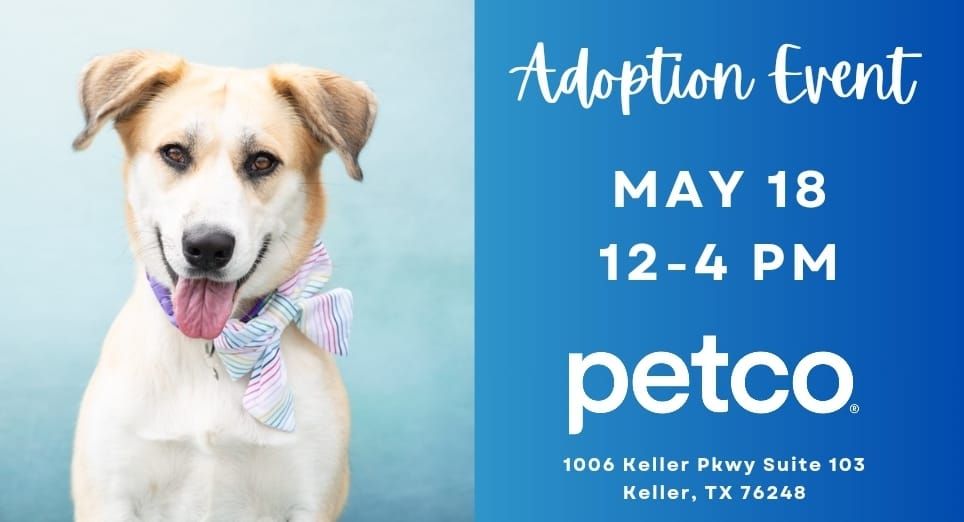 Petco Keller Adoption Event 