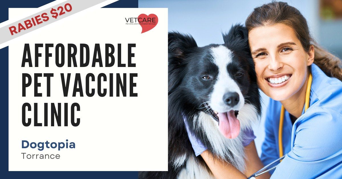 Affordable Pet Vaccine Clinic - Dogtopia