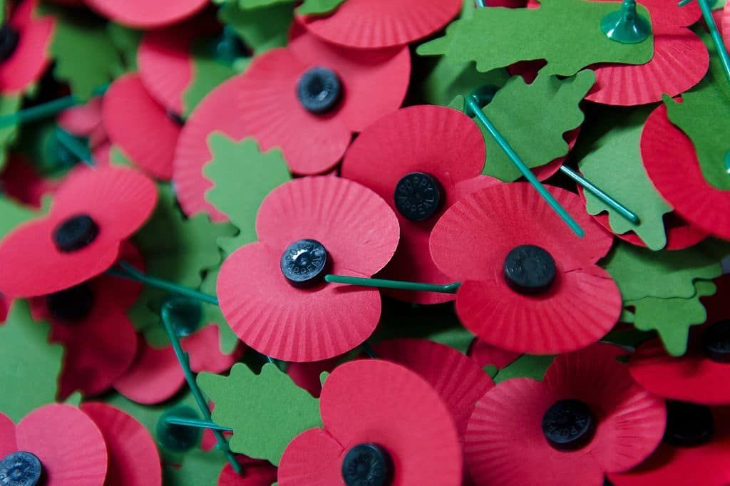 Remembrance Sunday and Poppy Appeal Charity Day