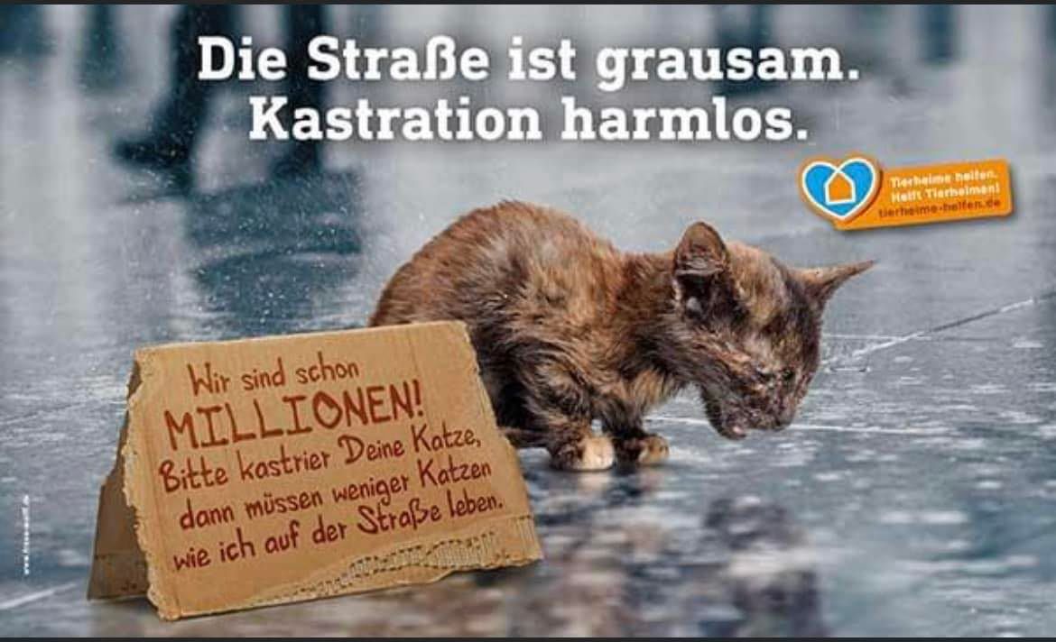 Arbeitseinsatz Tierheim u. Vereinsgel\u00e4nde