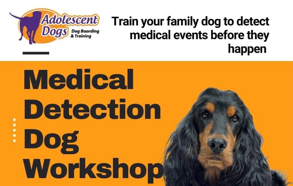 Intro to Medical Alert Training for Assistance Dogs with Mike Newland of Adolescent Dogs