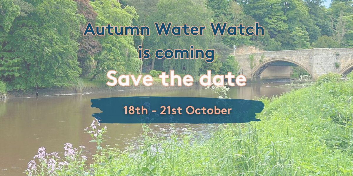 Autumn Water Watch