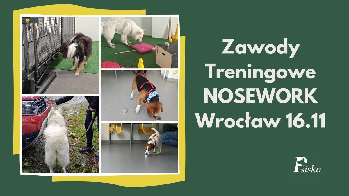 Zawody treningowe nosework 