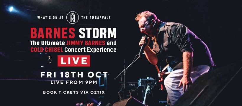 BARNES STORM The ultimate Jimmy Barnes & Cold Chisel Experience Tribute Show