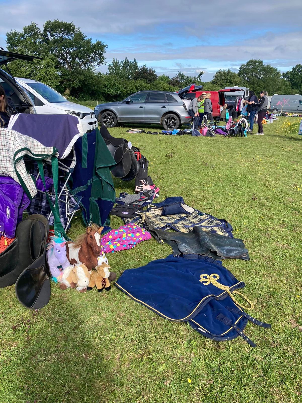 Equine Car boot