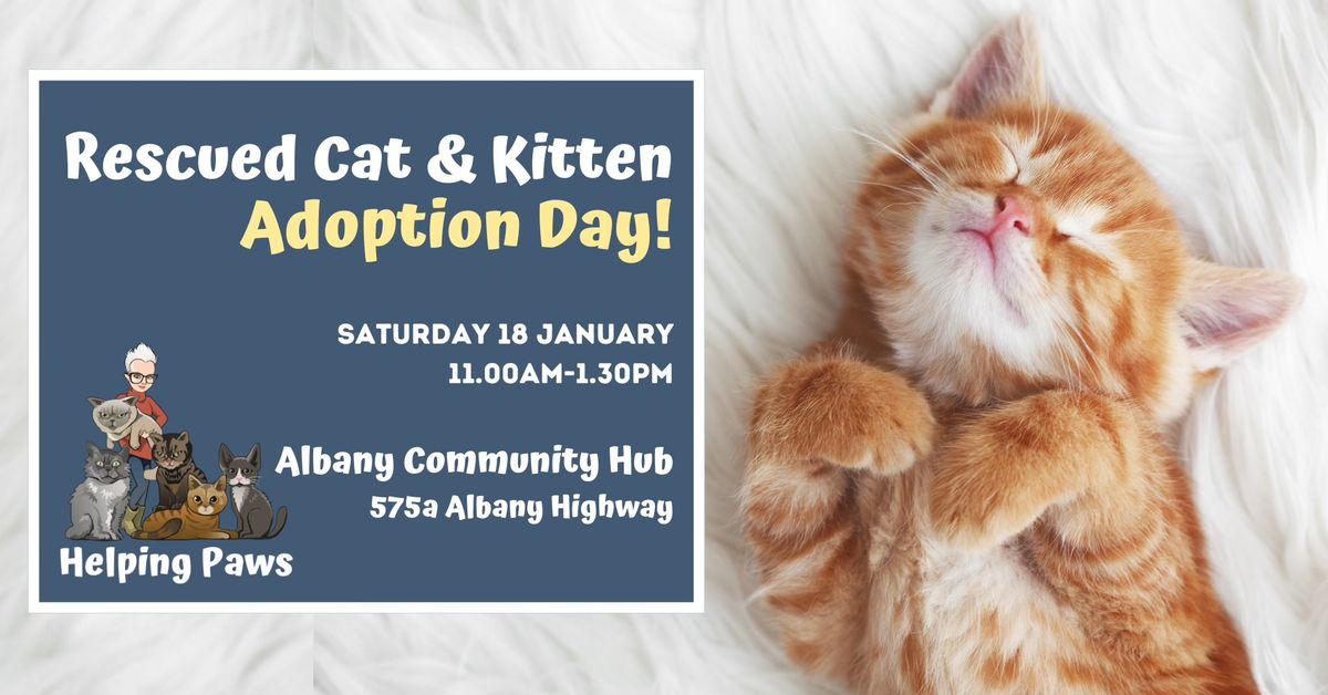 First Cat & Kitten Adoption Day for 2025!