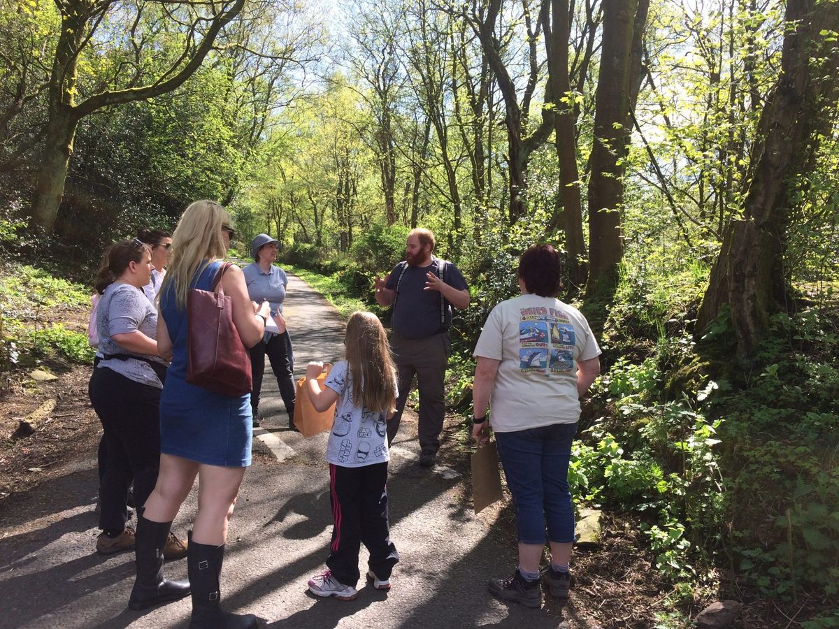 Spring forage walk with David Winnard