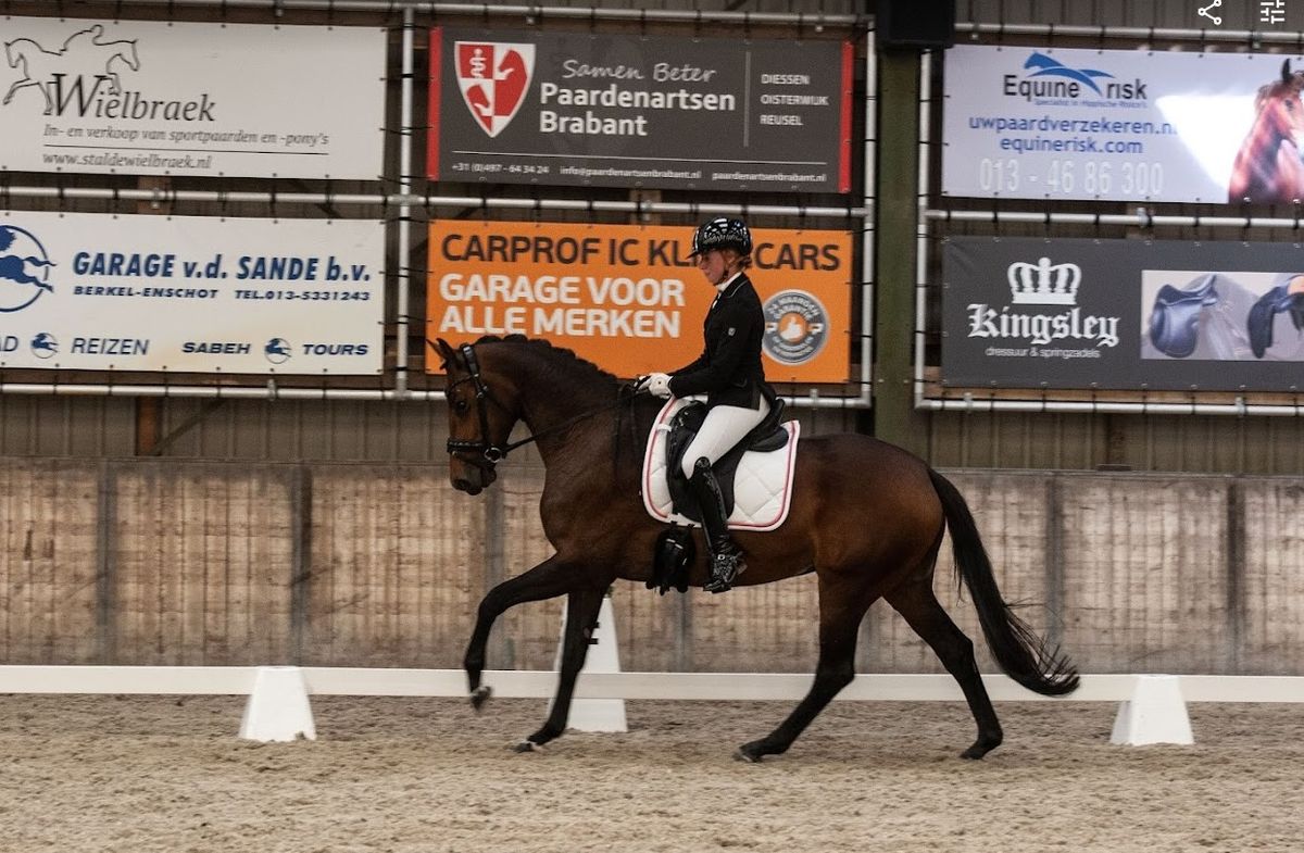 16\/17 Nov Selectie Dressuur Paarden