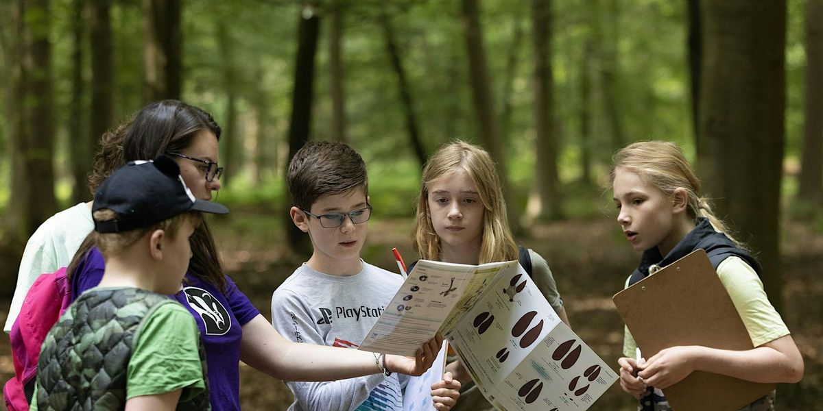 Teen Rangers - Windsor Great Park, Saturday 19 October