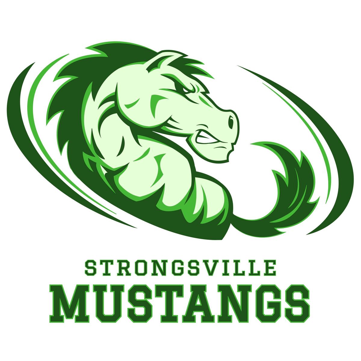11th Annual Strongsville Athletic Boosters Golf Outing